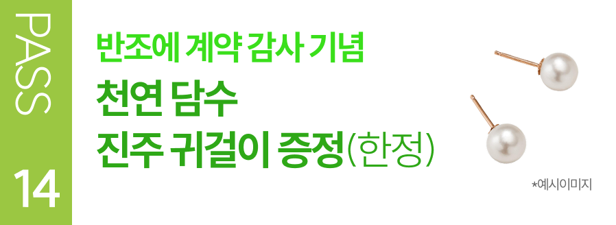 PASS 14 반조에 계약 감사 기념 천연 담수 진주 귀걸이 증정(한정)
