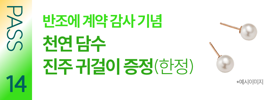 PASS 14 반조에 계약 감사 기념 천연 담수 진주 귀걸이 증정(한정)